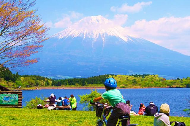 静岡 富士山富士宮 定期観光バス 高速バス 夜行バス予約 Willer Travel