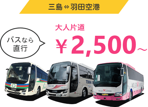 空港バス路線特集 高速バス 夜行バス予約 Willer Travel