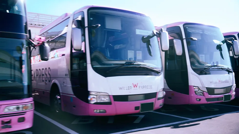 戦いの夜明けのイメージ写真