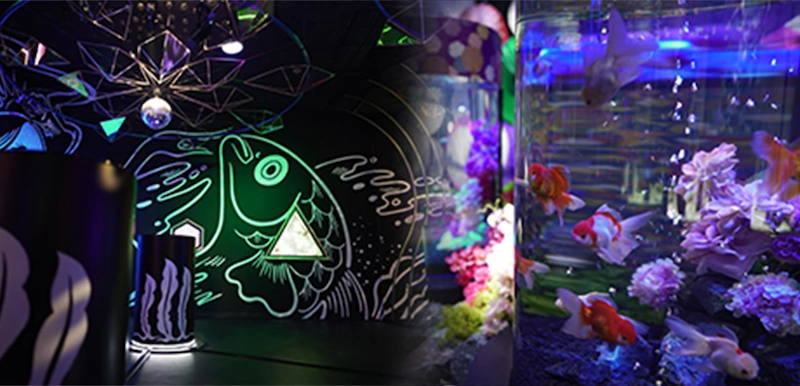 アク和リウムga Kyo レストランバスで行く旬を食する旅 Willer Travel