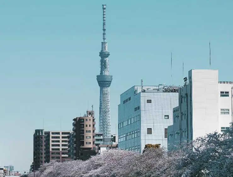 名古屋駅から東京駅までの交通手段別、時間・料金比較！新幹線、バス、飛行機など総まとめ