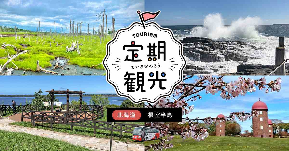 定期観光 北海道 根室半島遊覧バス「のさっぷ号」｜高速バス・夜行バスを簡単に予約｜WILLER TRAVEL【公式】