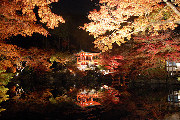 ライトアップ京の紅葉　醍醐寺と隨心院