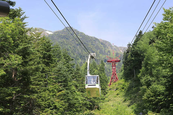 【東京発】駒ヶ岳へ1Dayトリップ！絶景と空中散歩を楽しむ「駒ヶ岳ロープウェイ往復乗車券」付き