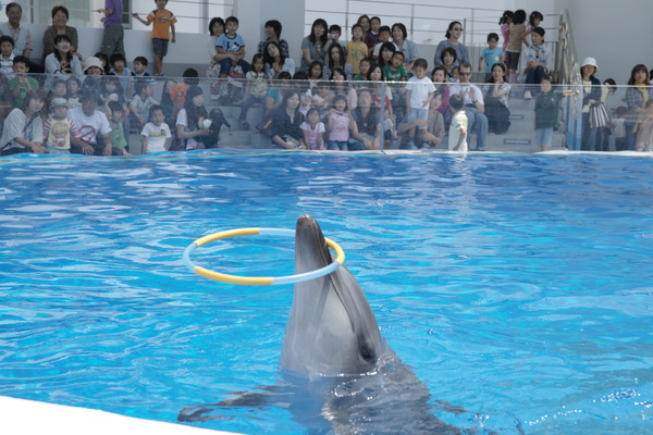 【長崎発】佐世保へ１Ｄａｙトリップ！九十九島の美しい海中世界が楽しめる「九十九島水族館海きらら入館券」付き