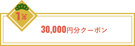 30,000円分クーポン