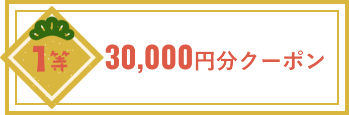 30,000円分クーポン