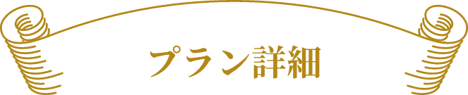 プラン詳細