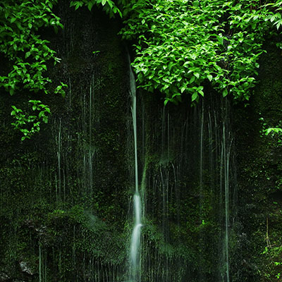 苔滝