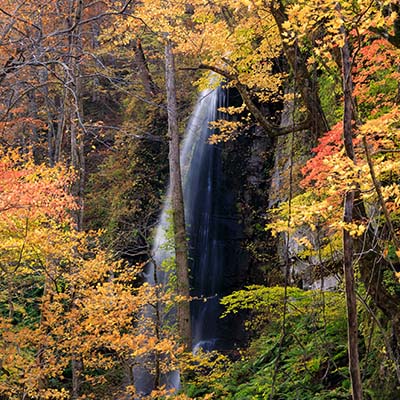 白糸の滝