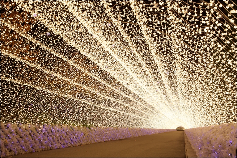 光のトンネル「華回廊」