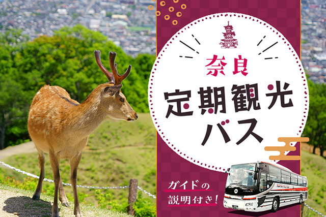 奈良 定期観光バス ガイドの説明付き！