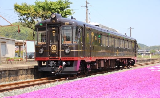 丹後くろまつ号・あかまつ号・あおまつ号(京都丹後鉄道)
