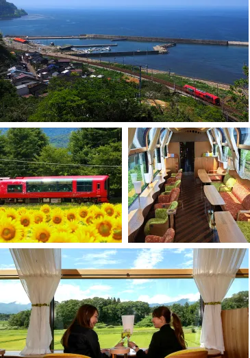 車両外観・内装