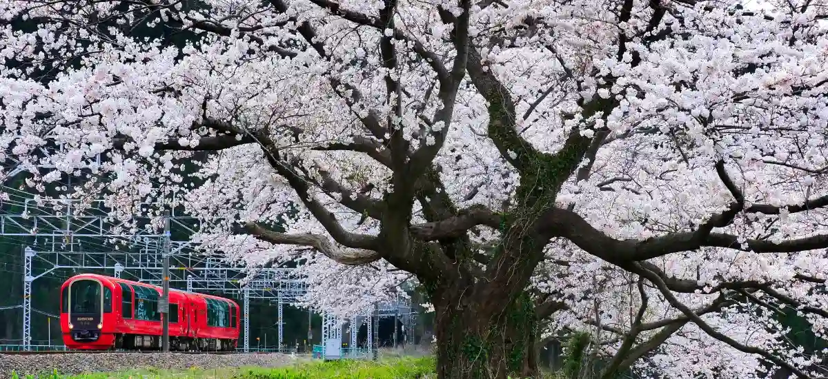 えちごトキめきリゾート雪月花