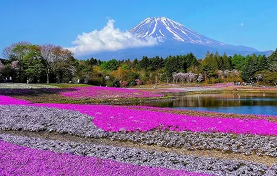 富士急ハイランド周辺スポットまとめ！時間つぶし・観光・食事・ホテル