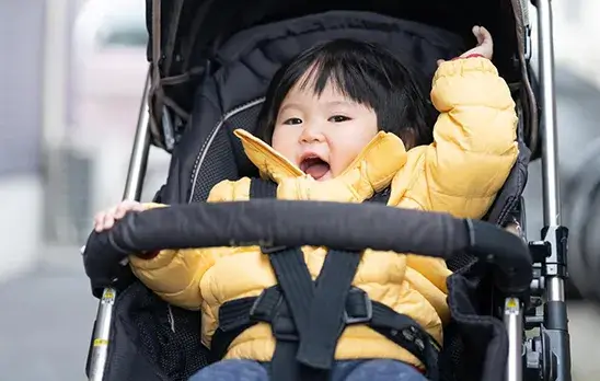 東京ディズニーランド®のベビーカー問題を解決！レンタル方法や盗難対策もご紹介 | ウィラコレ！