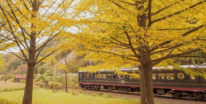 【体験記】美しい景色の中を走る、「癒しの観光列車」はいかが？
