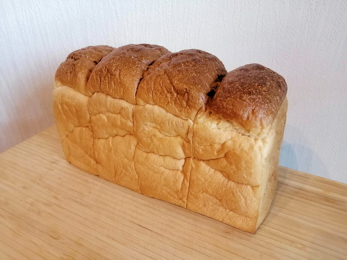 パンのトラ